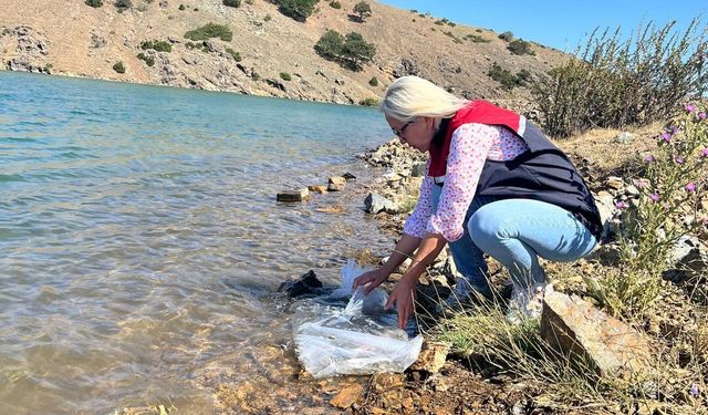 Bolu'dan, Eskişehir ve Sakarya'ya gönderildi. Tam 1 milyon 105 tane. Hepsi Sakarya'da her yere bırakılacak