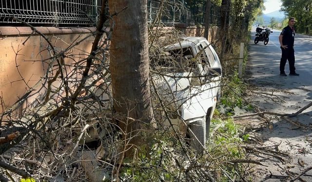 Otomobilin çarptığı ağaç üzerine devrildi, yangın çıktı: 1 yaralı