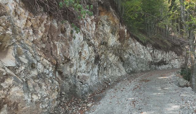 Bolu ormanlarında hummalı çalışma tamamlandı