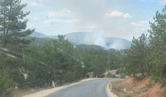 Bolu'da orman yangını çıktı