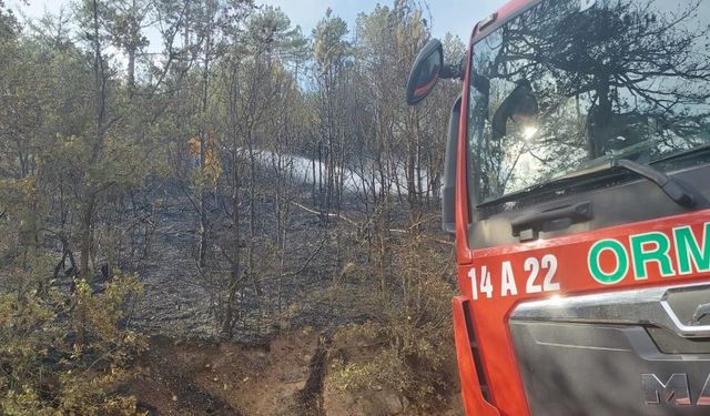 Bolu'da orman yangını kontrol altına alındı