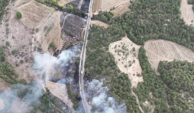 Bolu'daki orman yangını havadan görüntülendi