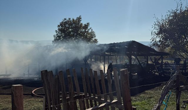 Anız yangını tarım aletlerini küle çevirdi