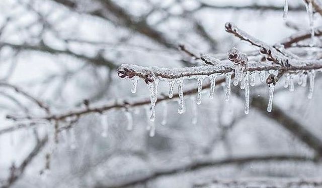 Meteorolojiden Bolu için zirai don uyarısı