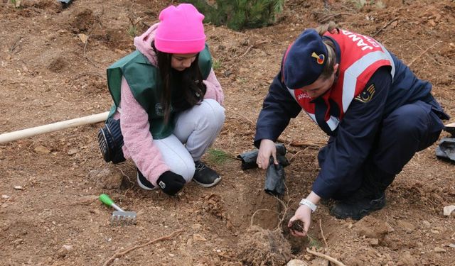 Bolu’da 30 bin fidanla yangınların yaraları sarılıyor