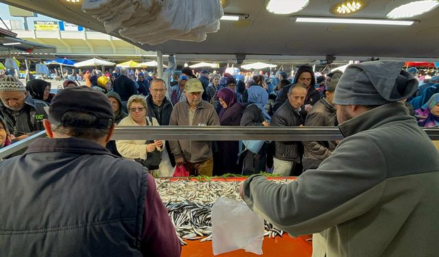 Bolu'da balık izdihamı