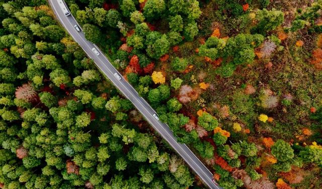 Gölcük Tabiat Parkı'nda mest eden sonbahar görüntüsü