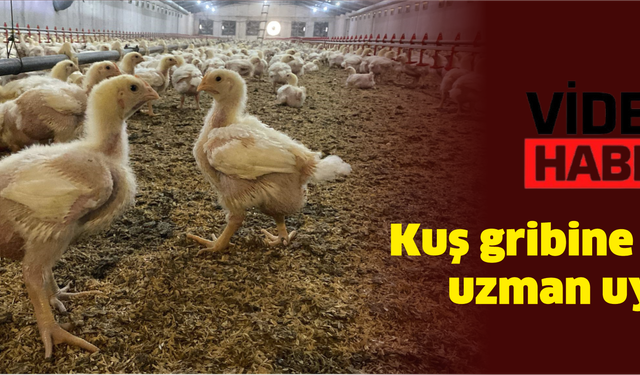 Kuş gribine karşı uzman uyarısı