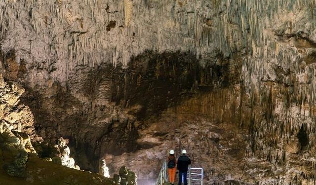 Bolu Milli parklar Genel Müdürlüğü’nden ilginç keşif