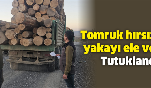 Tomruk hırsızları yakayı ele verdi: Tutuklandılar