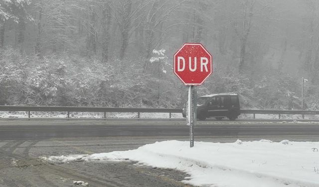 Bolu Dağı'nda kar yağışı ve sis etkili oluyor