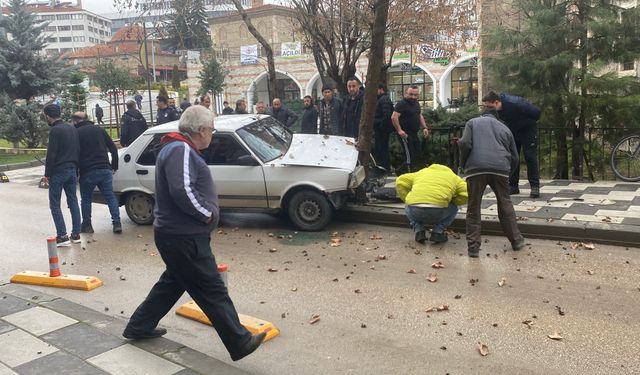 Köpeğe çarpmamak için ağaca çarptı