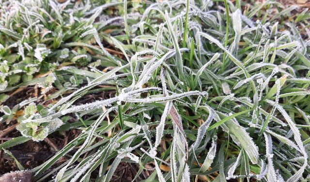 Mudurnu'da Hava Sıcaklığı Eksi 8 Dereceyi Gördü