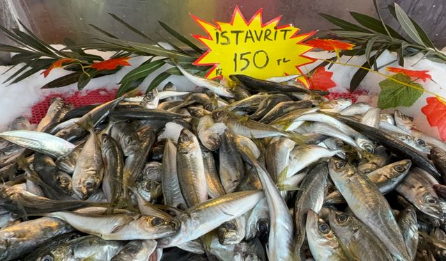 Hamsi sevenlere kötü haber