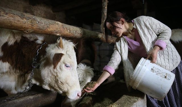 Kırsala Bereket Hayvancılığa Destek Projesi Başlıyor