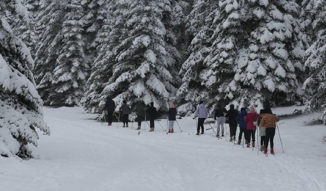 Geleneksel Kızak 2. Ayak Yarışları bu gün Bolu’da yapılacak