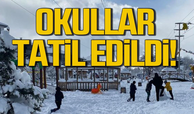 Kar yağışı sebebi ile okullar 1 gün tatil edildi.