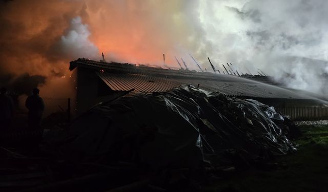 Bolu'da korkutan depo yangını