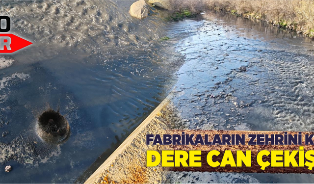 Fabrikaların zehrini kustuğu dere can çekişiyor