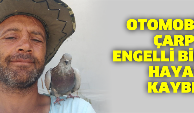 Otomobilin çarptığı engelli birey hayatını kaybetti