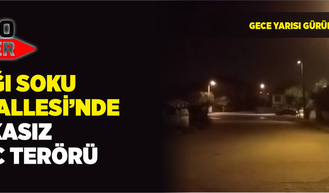 Aşağı Soku Mahallesi’nde Plakasız Araç Terörü