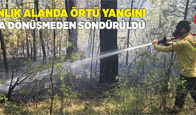 Ormanlık alanda örtü yangını faciaya dönüşmeden söndürüldü