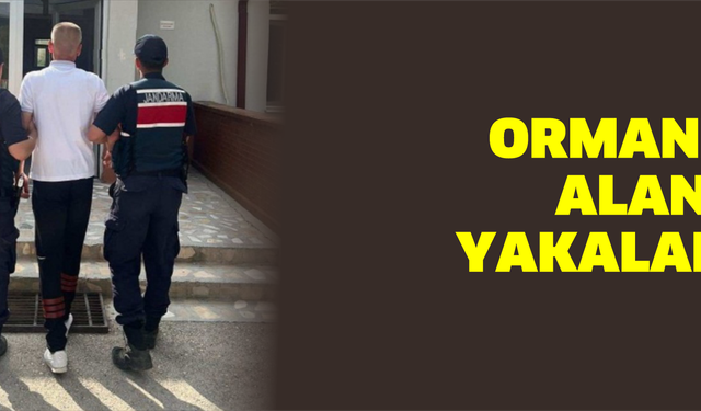 Hapis cezası bulunan şahıs ormanlık alanda yakalandı