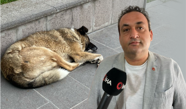 Uzmanı uyardı: "Keneler yeni konakçı arayabilir"