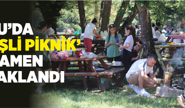 Bolu’da ‘ateşli piknik’ tamamen yasaklandı