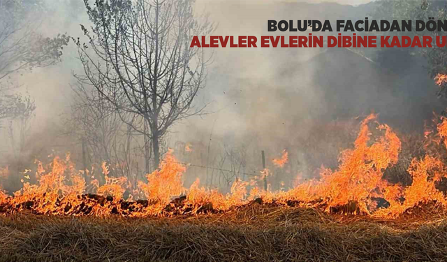 Bolu’da faciadan dönüldü: Alevler evlerin dibine kadar ulaştı