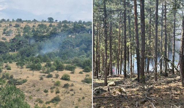 Bolu’da yıldırım kaynaklı çıkan yangınlar söndürüldü