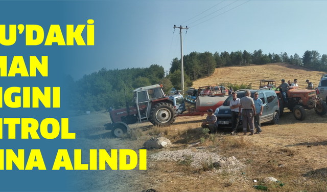 Bolu’da orman yangını