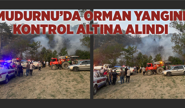 Mudurnu’da Orman Yangını Kontrol Altına Alındı