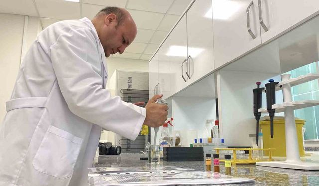 Beyin kanseri tedavisinde yerli ve etkili nano molekül geliştirildi