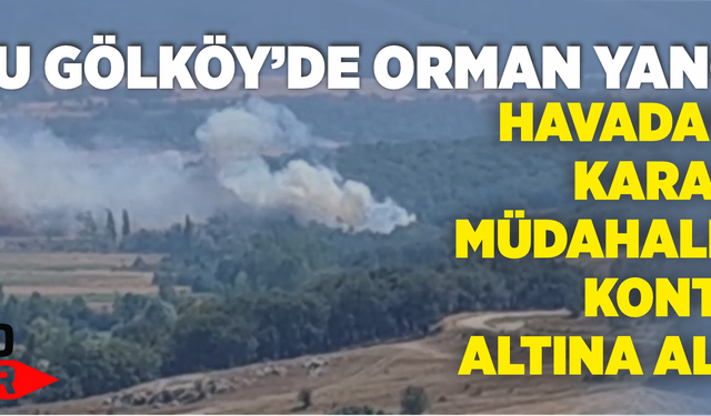 Bolu Gölköy'de orman yangını başladı