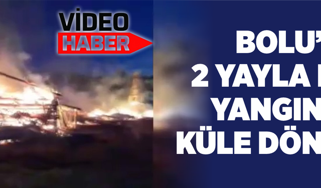Bolu’da 2 yayla evi yangında küle döndü