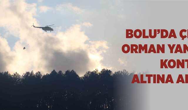 Bolu’da çıkan orman yangını kontrol altına alındı
