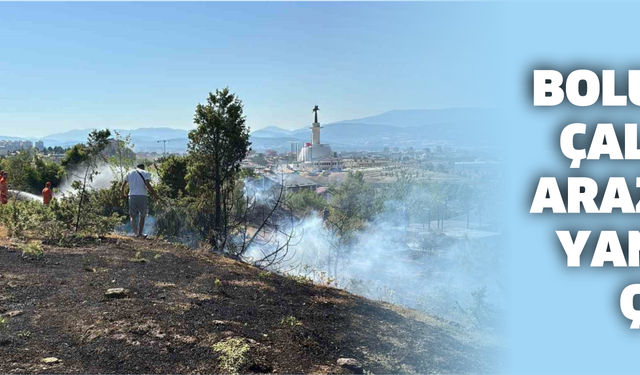 Bolu’da çalılık arazide yangın çıktı