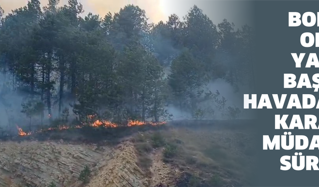 Bolu’da orman yangını başladı: Havadan ve karadan müdahale sürüyor