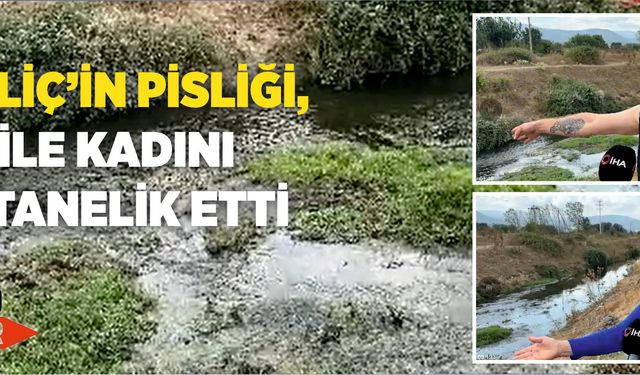 Erpiliç’in pisliği, hamile kadını hastanelik etti