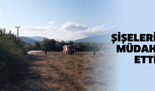 Bolu’da otluk alandaki yangın büyümeden söndürüldü: Su şişeleriyle müdahale ettiler