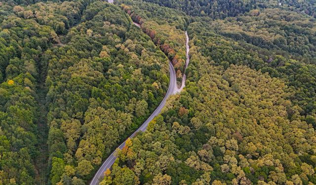 Bolu-Seben yolunda muhteşem sonbahar güzelliği