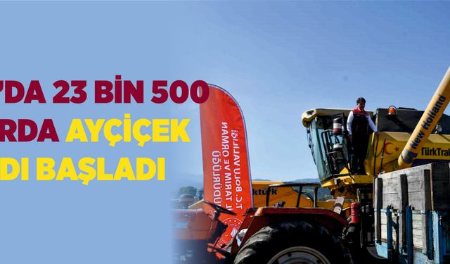 Bolu’da 23 bin 500 dekarda ayçiçek hasadı başladı