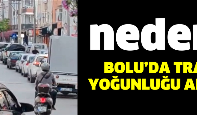 Gölyüzü Mahallesi ile Kavşak Arası Dikkat Çekiyor
