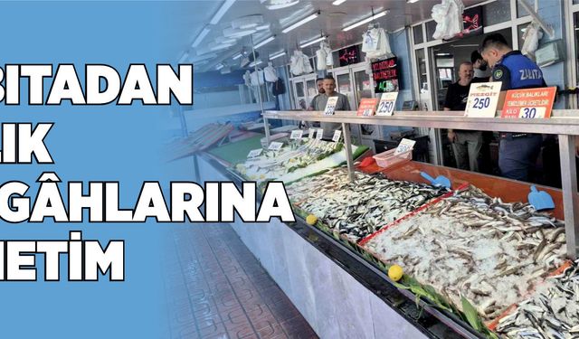 Bolu’da zabıtadan balık tezgâhlarına denetim