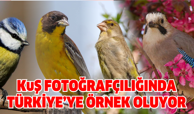 Mudurnulu Lise Öğrencisi Berkay Kaan Özcan, Türkiye’ye Örnek Oluyor