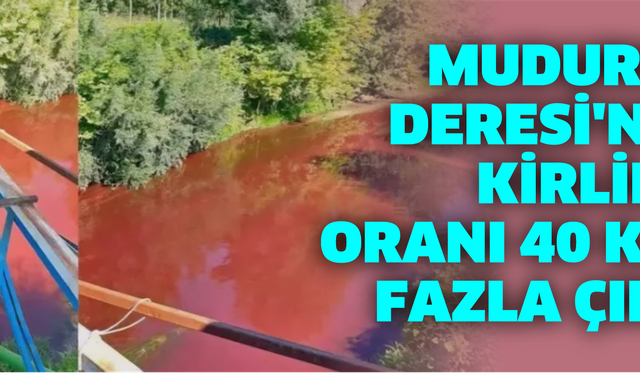 Mudurnu Deresi'nde kirlilik oranı 40 kat fazla çıktı