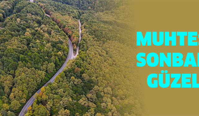 Bolu-Seben yolunda muhteşem sonbahar güzelliği