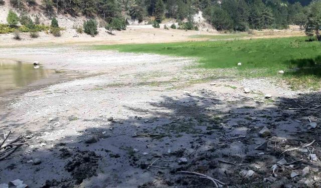 Orman yangınında kritik rol oynayan gölet, can çekişiyor