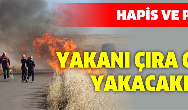 Bolu’da anız yakanı yakacaklar. Hapis ve para cezası var